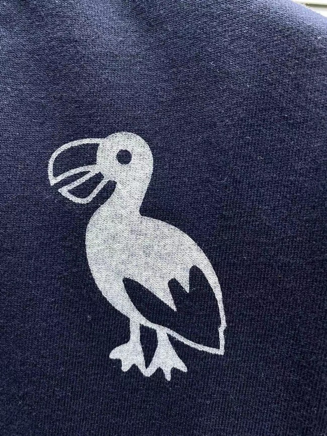 mmexport1617599557372.jpg