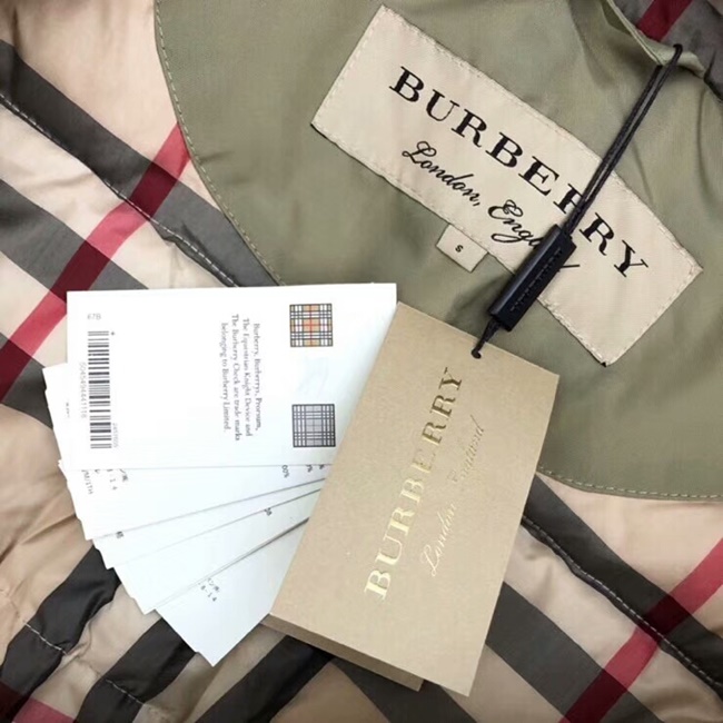 mmexport1544539763467.jpg