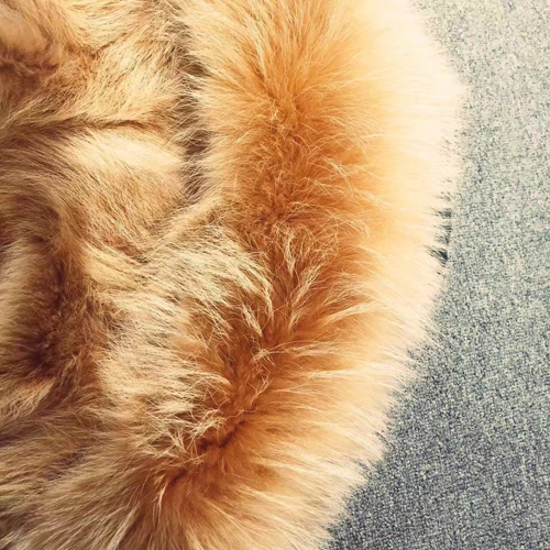 201612061341128.jpg