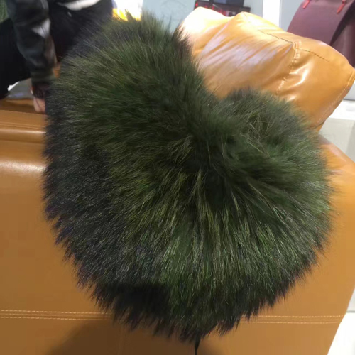 201612081723596.jpg