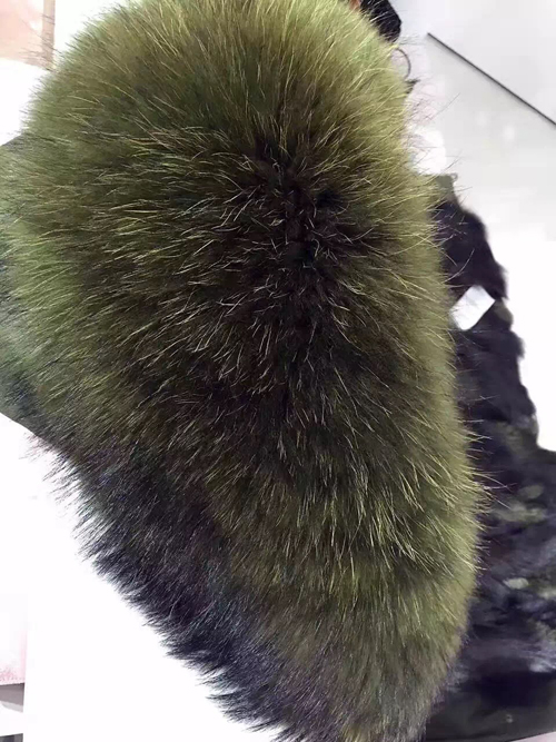 201612081723597.jpg