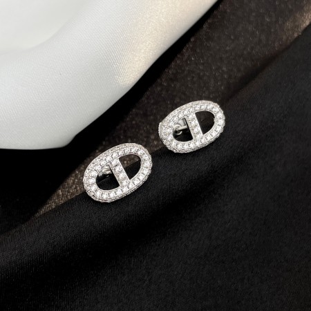 디올 귀걸이