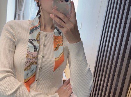 에르메스 트윌리