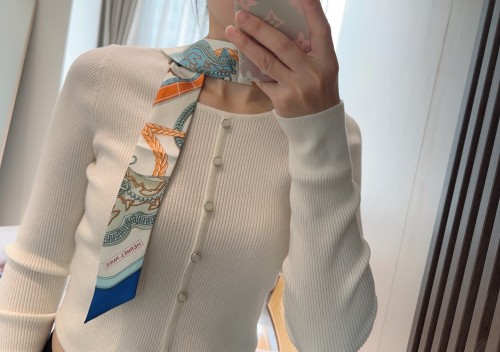 에르메스 트윌리