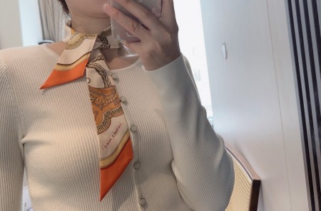 에르메스 트윌리