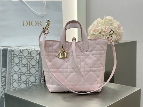 디올 뚜즈흐백 미디움