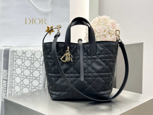 디올 뚜즈흐백 미디움