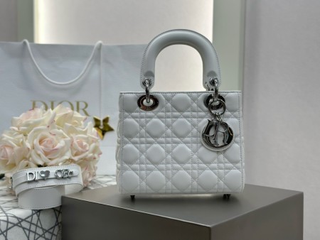 디올 레이디백 스몰