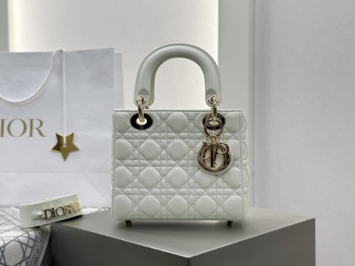 디올 레이디백 스몰