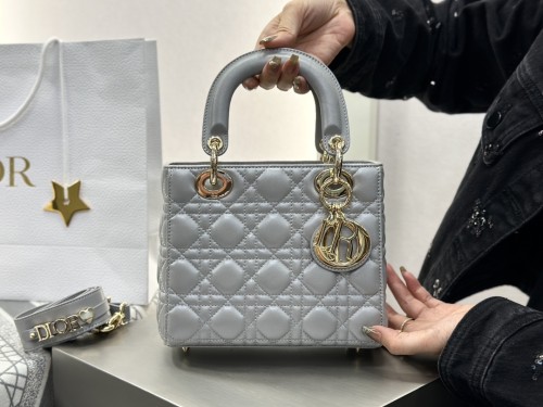 디올 레이디백 스몰