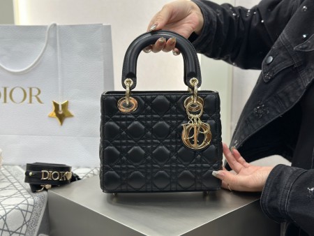 디올 레이디백 스몰