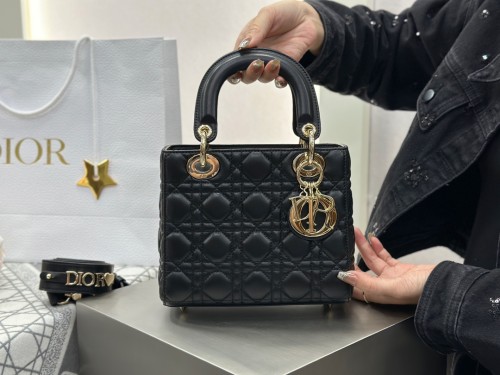 디올 레이디백 스몰