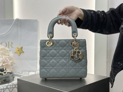 디올 레이디백 스몰
