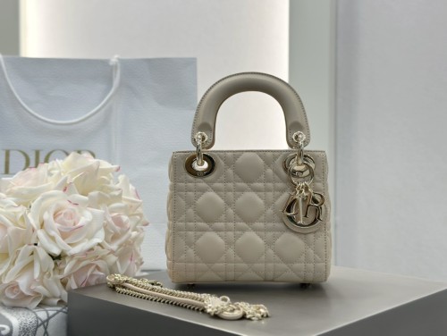 디올 레이디백 미니