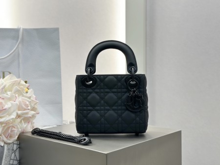 디올 레이디백 미니