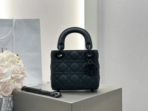 디올 레이디백 미니