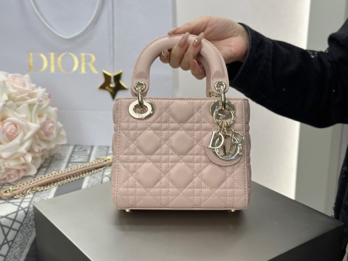 디올 레이디백 미니