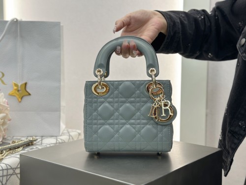 디올 레이디백 미니