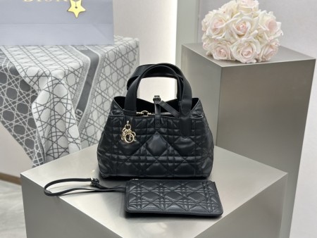 디올 뚜즈흐백 스몰