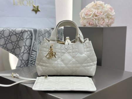 디올 뚜즈흐백 스몰