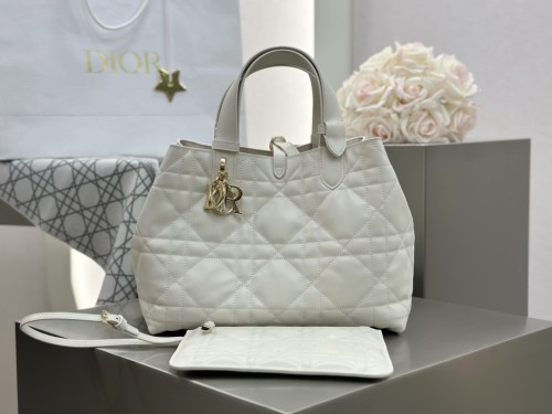 디올 뚜즈흐백 미디움