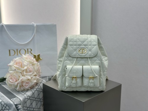 디올 카로백팩 미디움