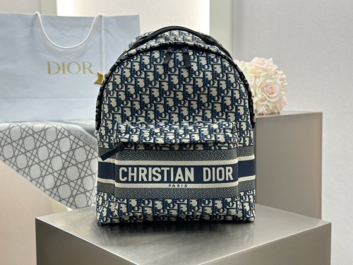 디올 백팩