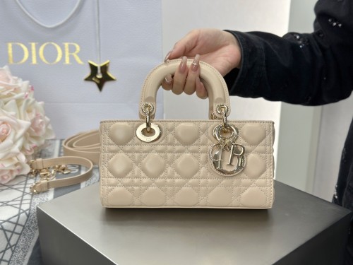 디올 레이디 디조이백 스몰