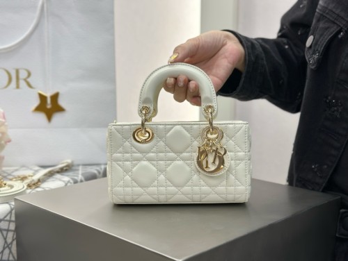 디올 레이디 디조이백 미니