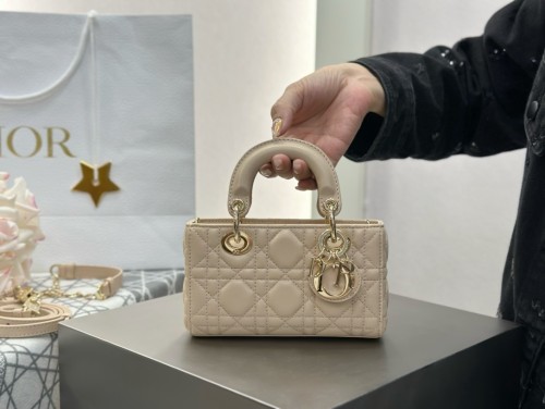 디올 레이디 디조이백 미니