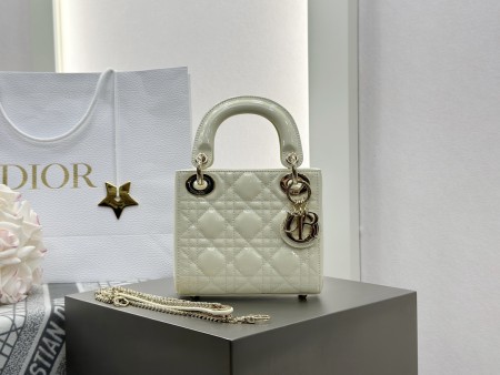 디올 레이디백 미니