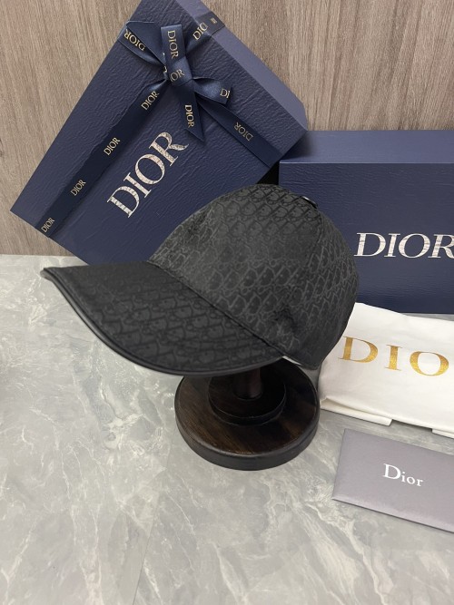 디올 모자