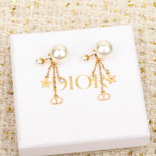디올 귀걸이