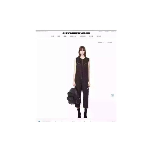 [Alexander Wang] BackPack