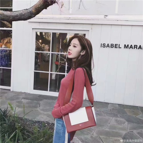 [Celine] Frame Bag 180263