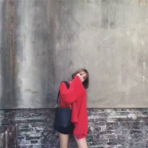 [Celine]  Shoulder Bag 178303