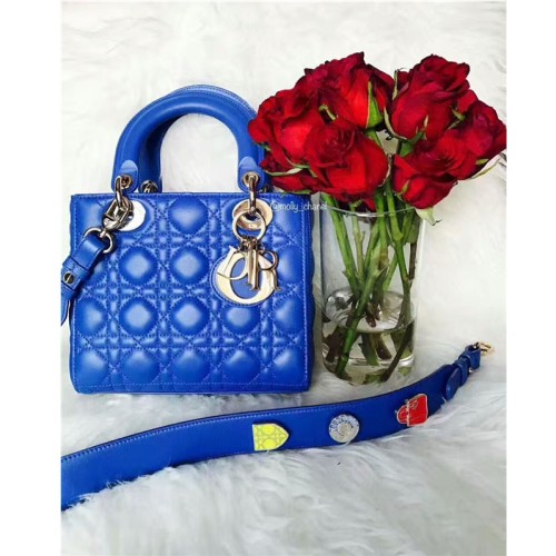 [Dior]  Shoulder Bag 170718-10