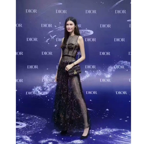 [Dior] Dioraddict Chian Bag