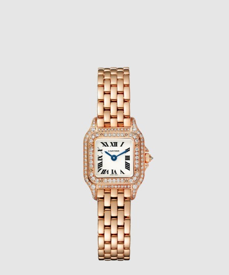 [CARTIER-까르띠에]팬더 드 까르띠에 콤비 25 WJPN0020