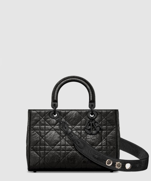 [DIOR-디올]디자이어 레이디백 ABC M1151