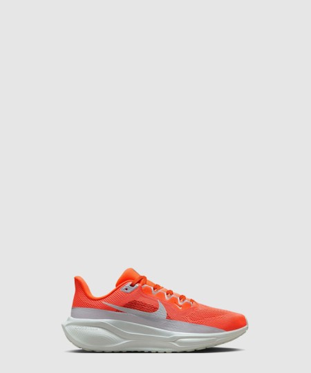 [NIKE-나이키]페가수스 41 FZ1626